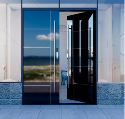 Stainless Steel Security Door