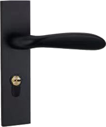 Interior doors- handle