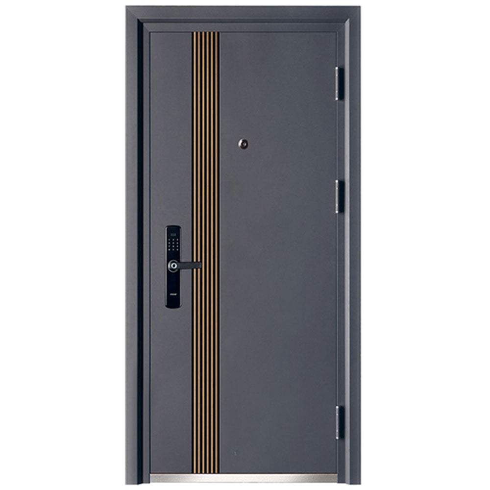 Steel security door