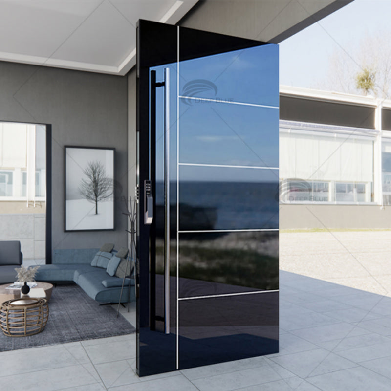 Stainless Steel Security Door