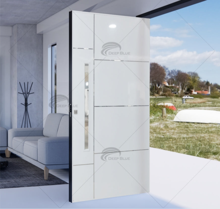 Stainless Steel Security Door