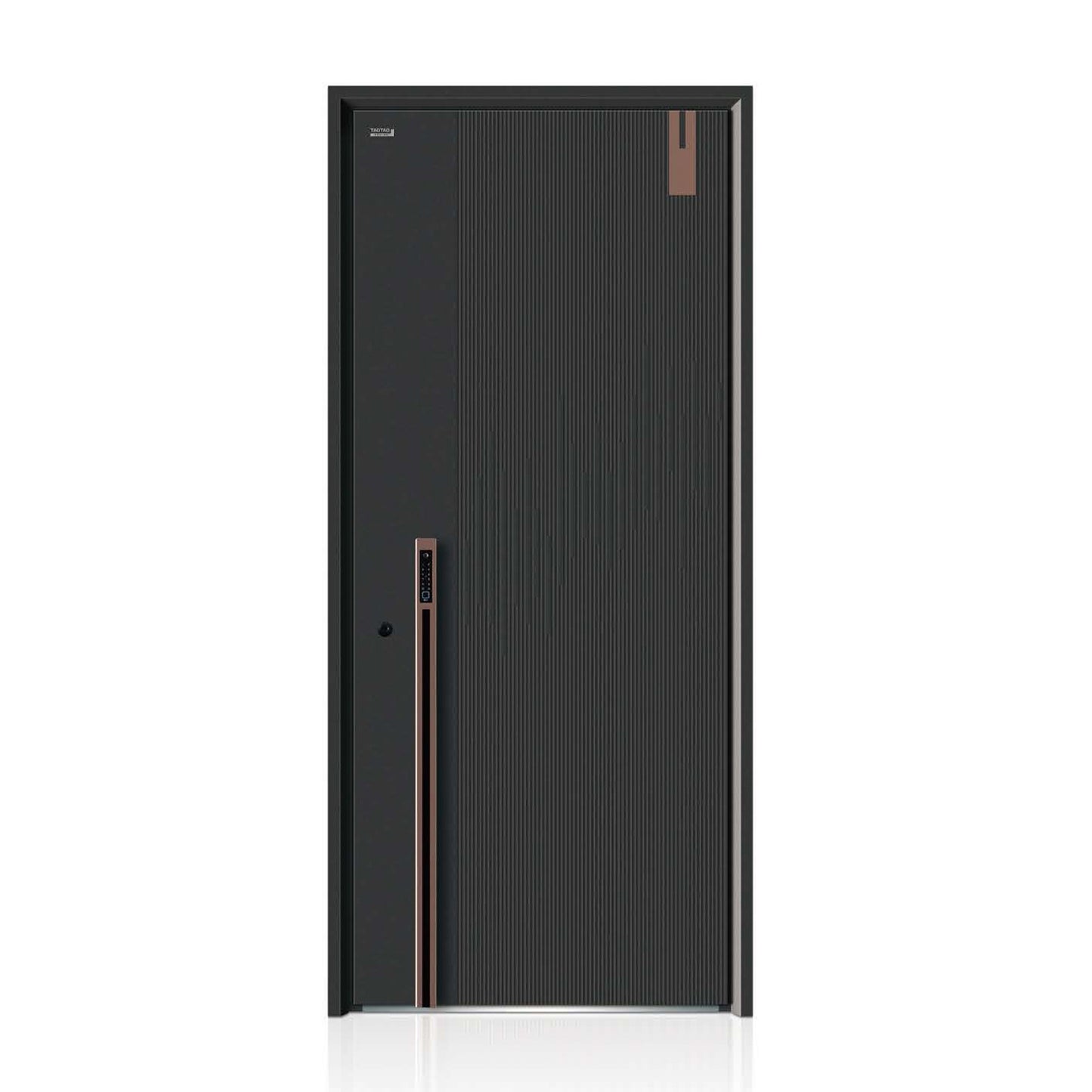 Steel security door