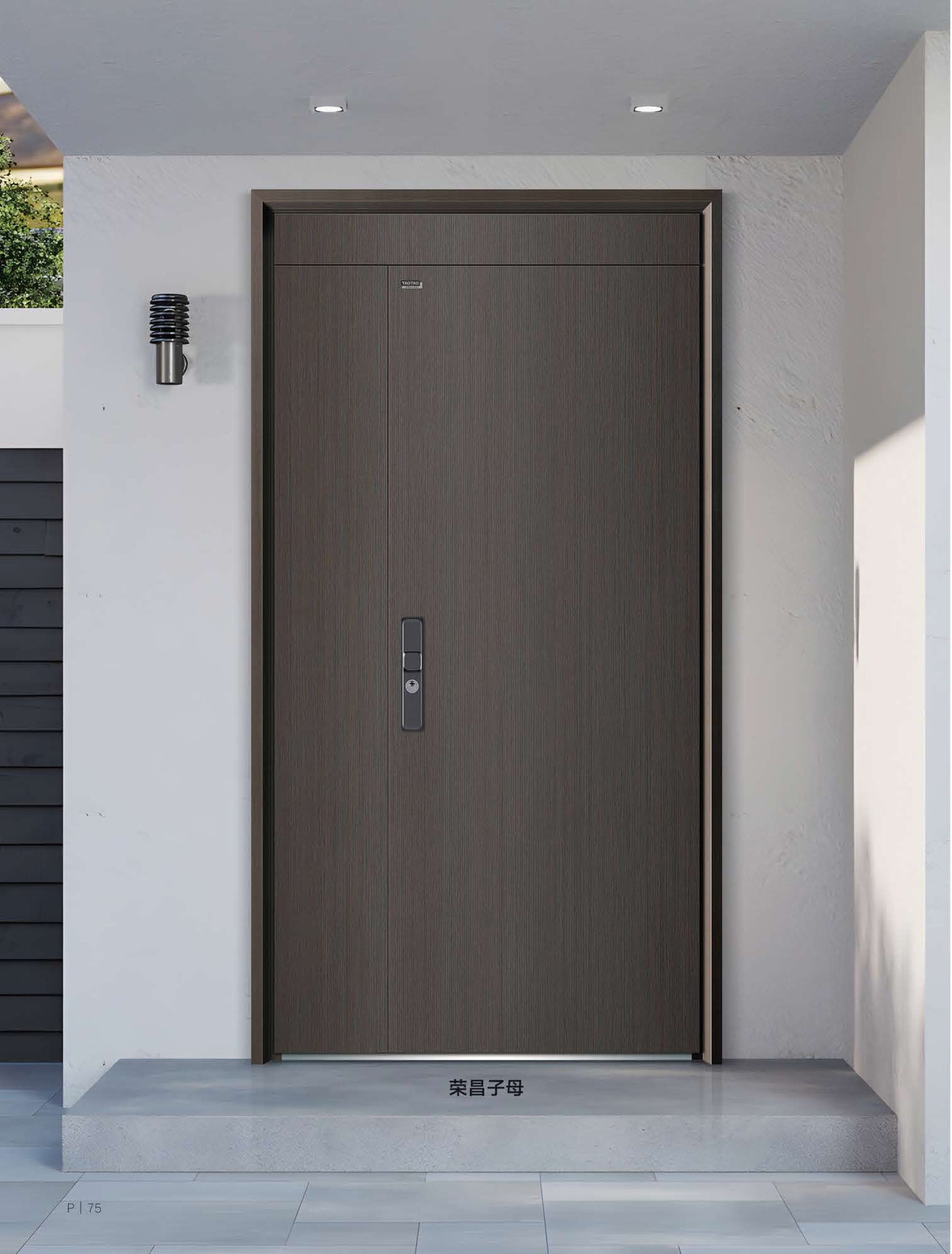 Steel security door