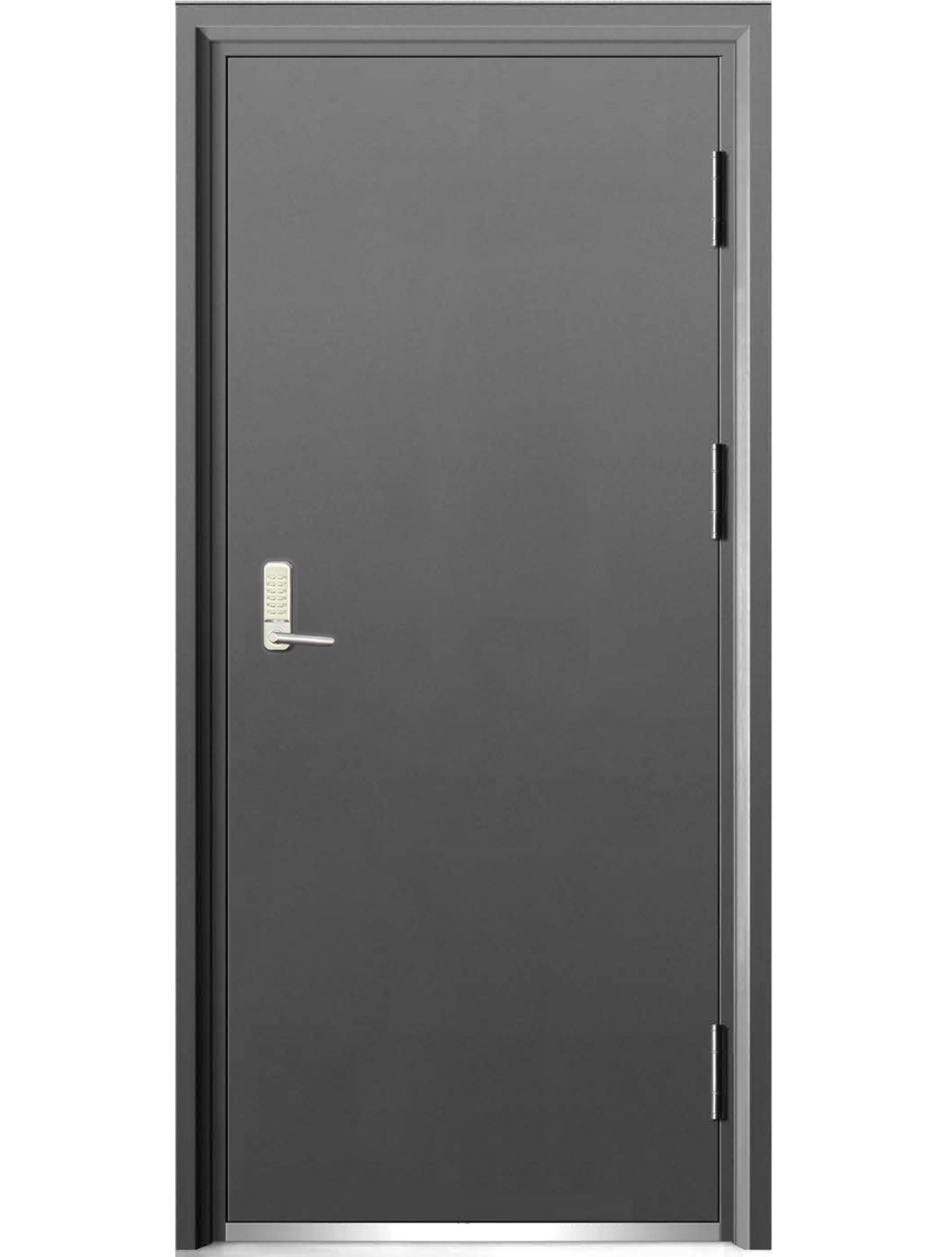 Steel security door