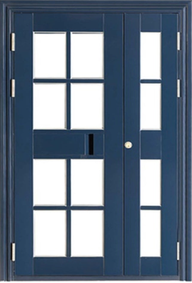 Steel security door