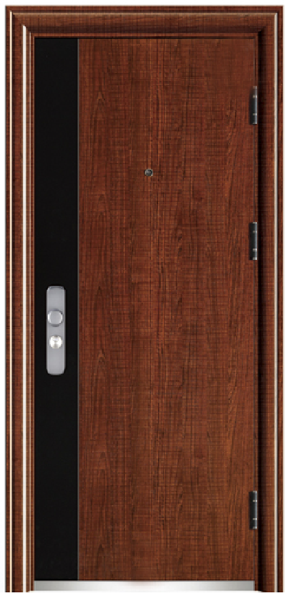 Steel security door