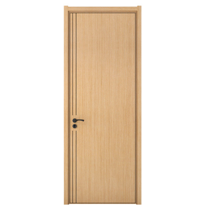 Interior Doors-Painted Door