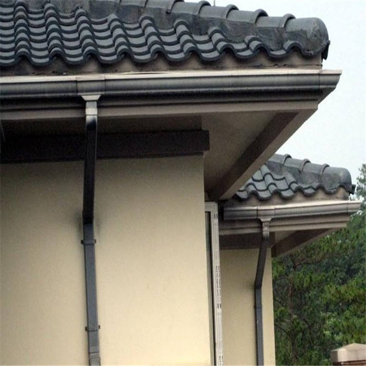 Gutter & downpipe