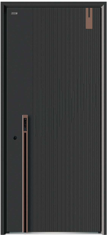 Steel security door
