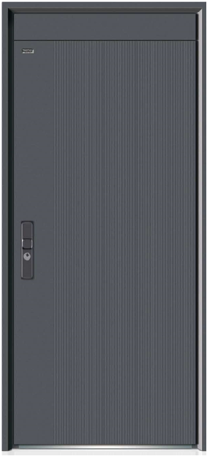Steel security door