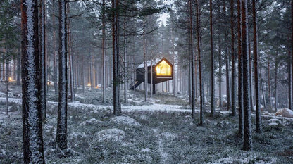 Luxury cabin prefab house wooden bungalow Snowden Cabin