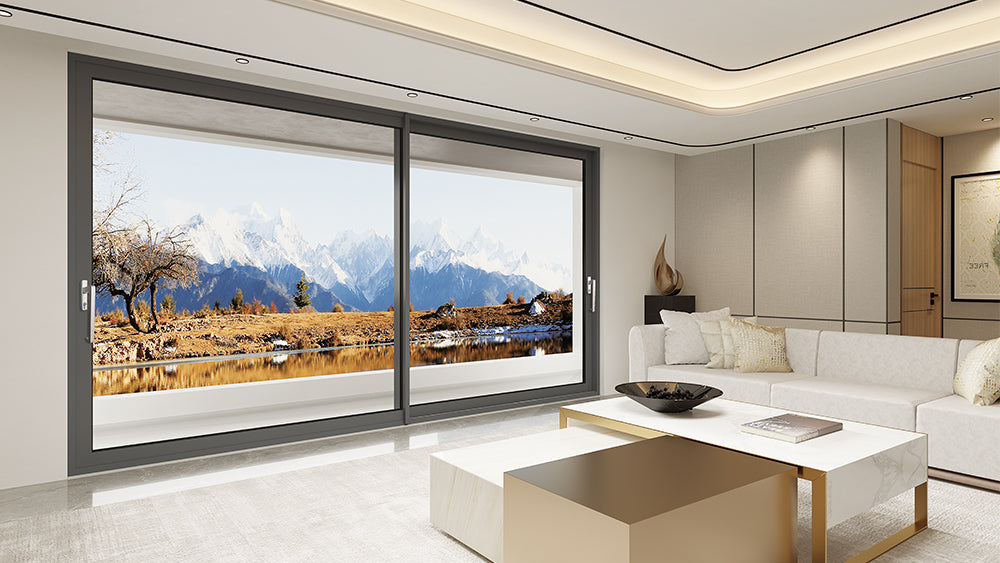 Aluminum Glass door DJ-Series