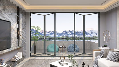 Aluminum Glass door DJ-Series