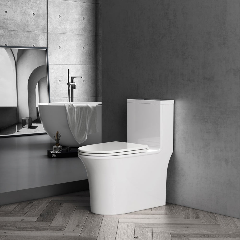 Bathroom Toilet Normal