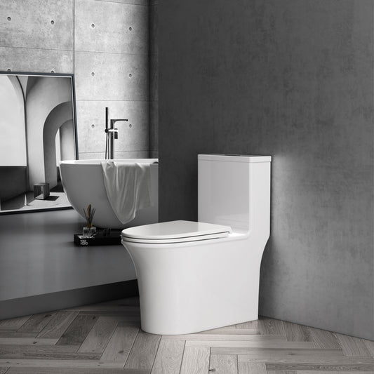 Bathroom Toilet Normal