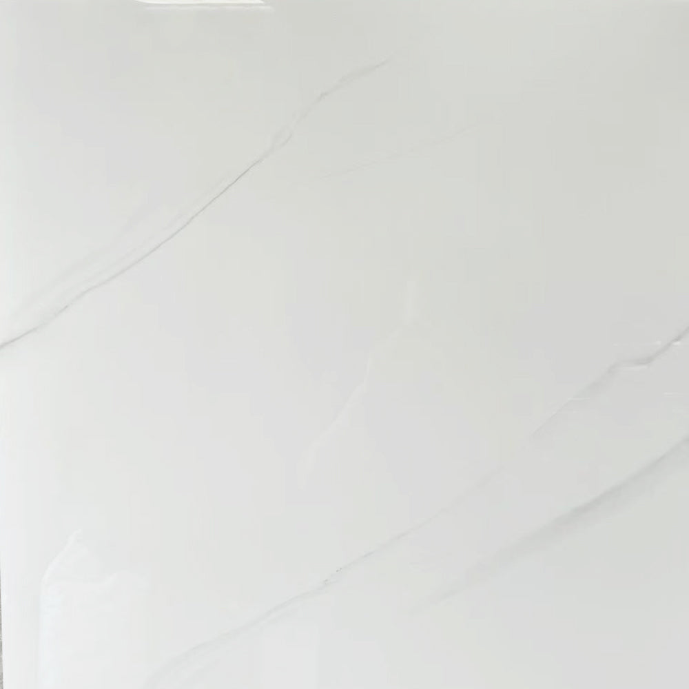 Ceramic Floor Tile 800*800mm  prefab house modular home CK series