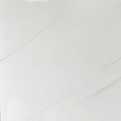 Ceramic Floor Tile 800*800mm  prefab house modular home CK series