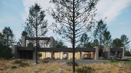 Prefab luxury modular home Vigo House with panelized home kits