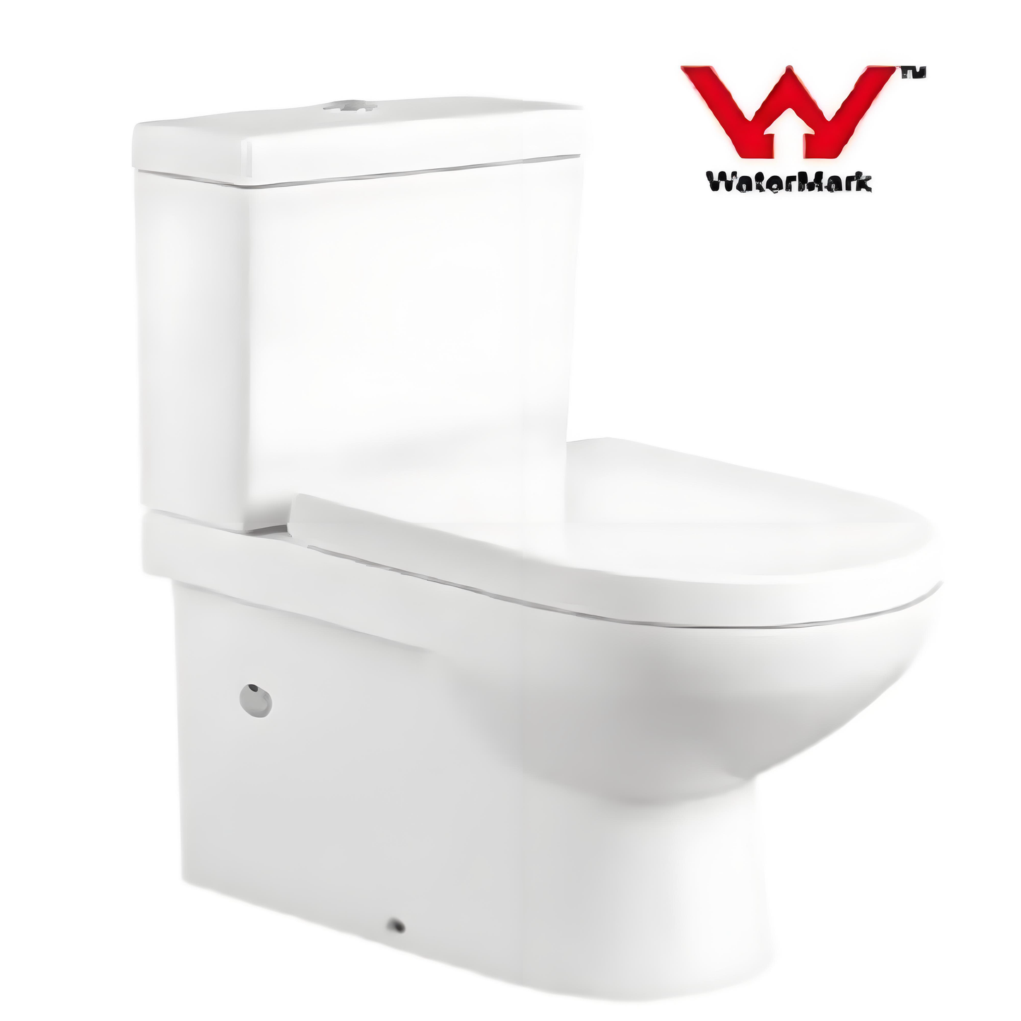 Bathroom Toilet- Water Mark