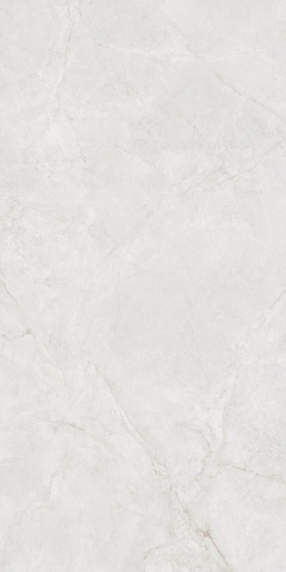 Ceramic Floor Tile Frosted 900mm*1800mm