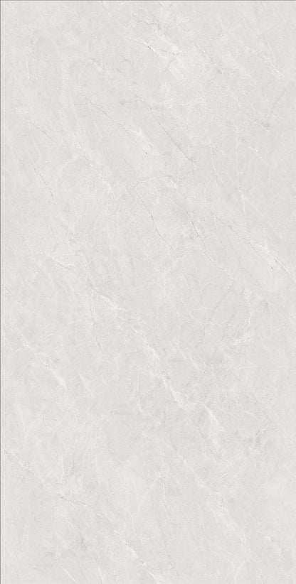 Ceramic Floor Tile Frosted 900mm*1800mm