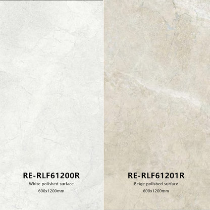 Ceramic Tile for Floor  and wall RE-series prefab house