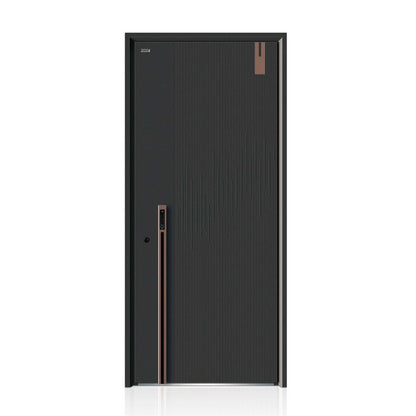 Steel security door