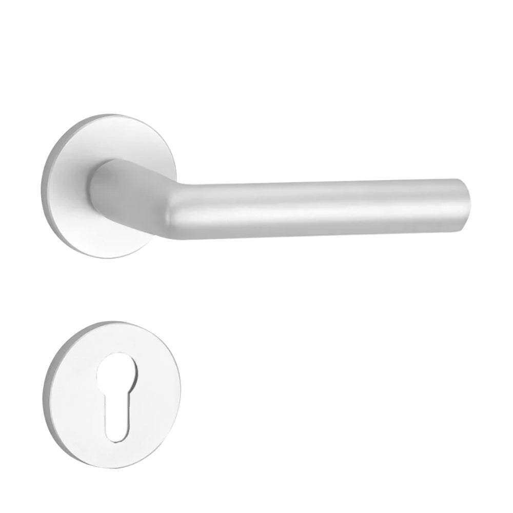 Interior Doors- Handle for prefabricated house furnish