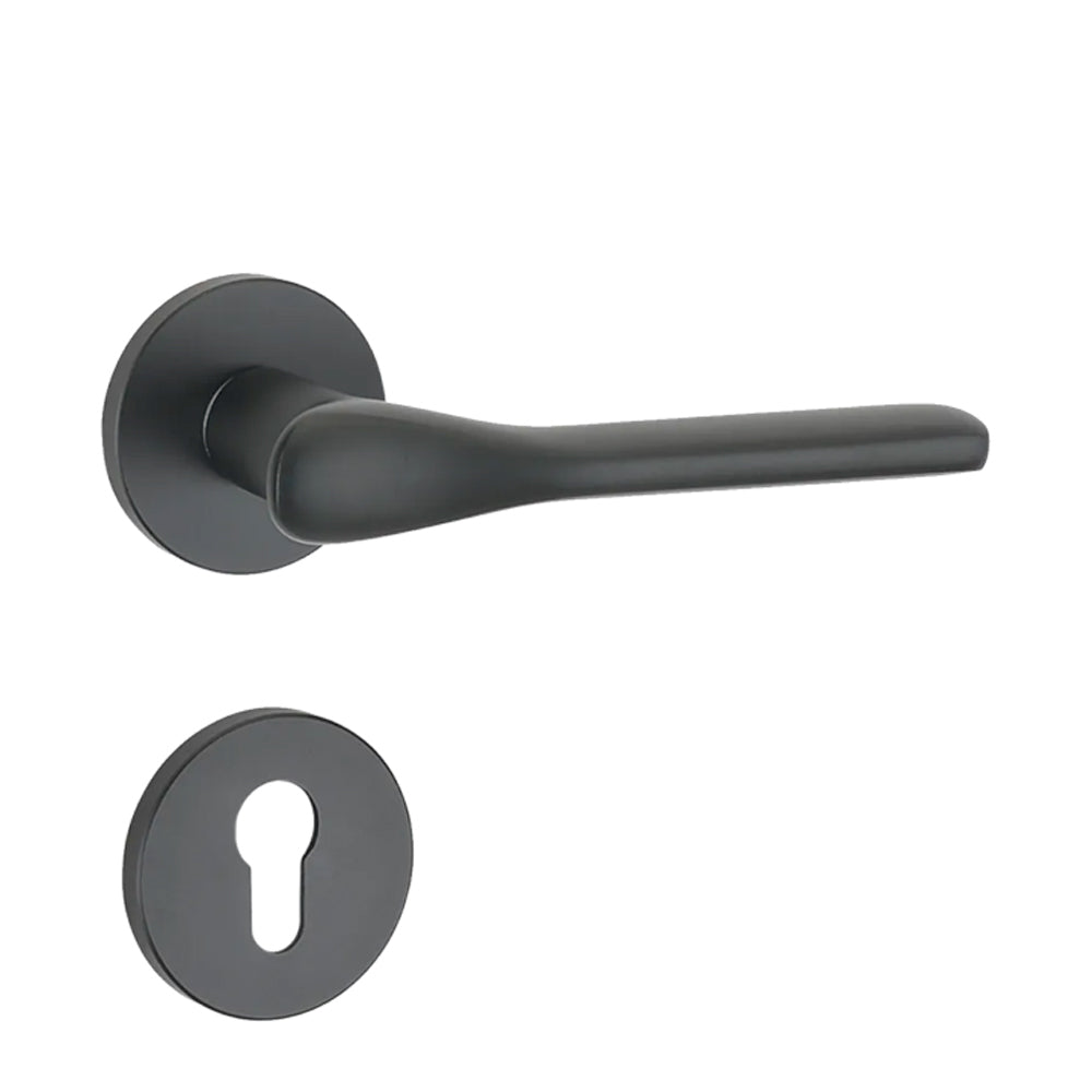 Interior Doors- Handle for prefabricated house furnish