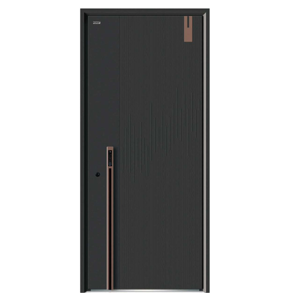 Exterior door-Steel security door for prefab luxury villa steel house kits