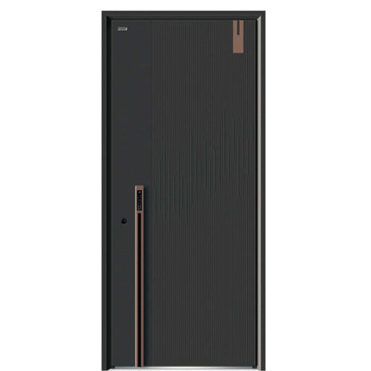 Exterior door-Steel security door for prefab luxury villa steel house kits