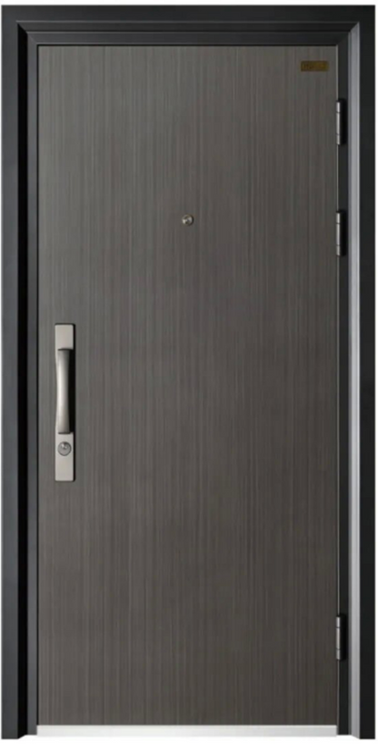 Exterior door-Steel security door for prefab luxury villa steel house kits