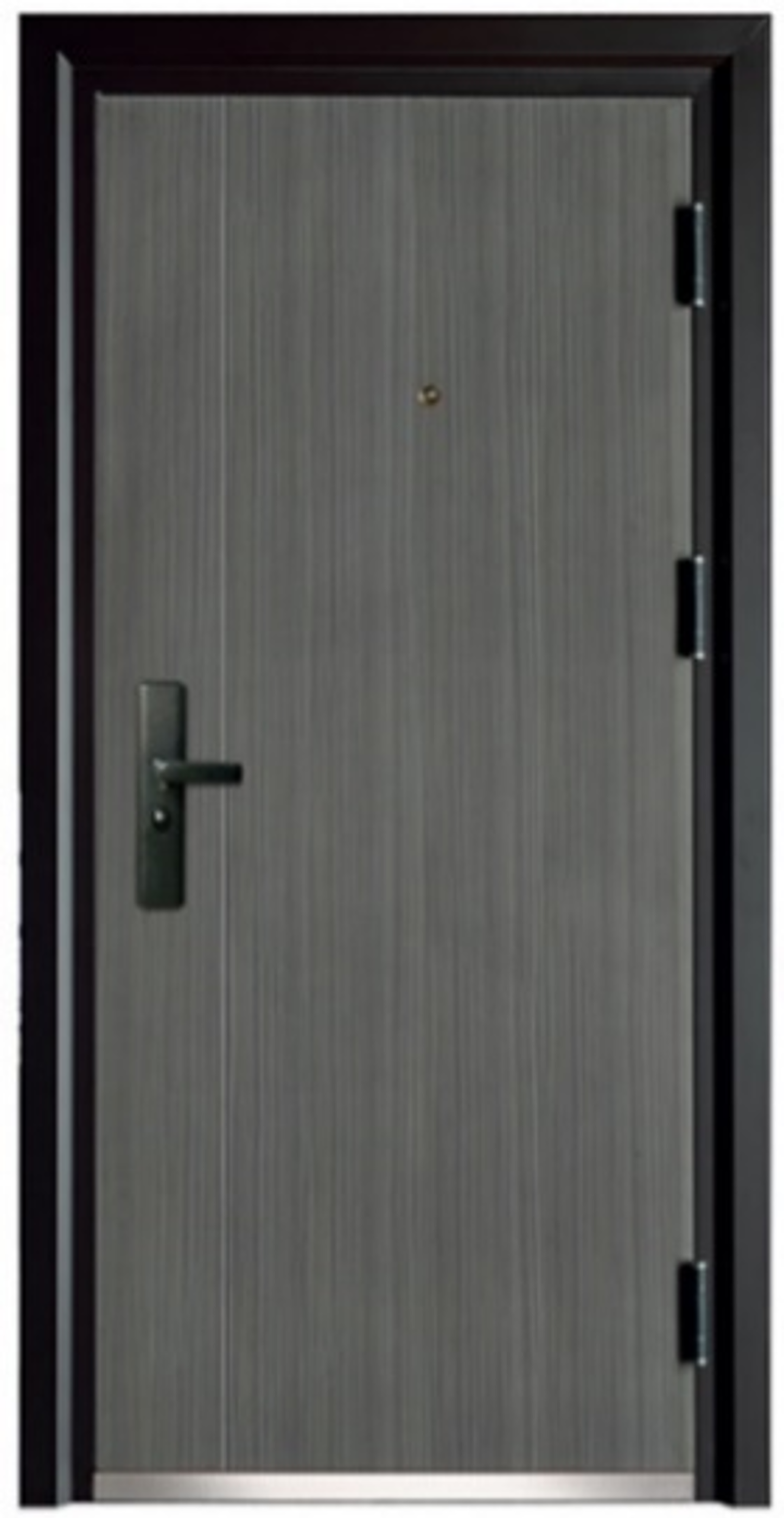 Exterior door-Steel security door for prefab luxury villa steel house kits