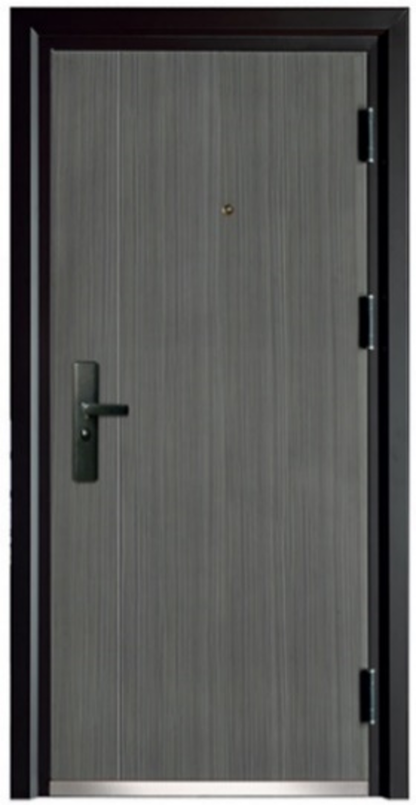 Exterior door-Steel security door for prefab luxury villa steel house kits